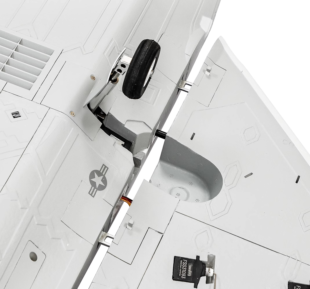 Freewing F-22 Raptor 70mm EDF Jet 